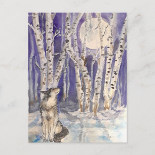 Wolf in Winter Postcard