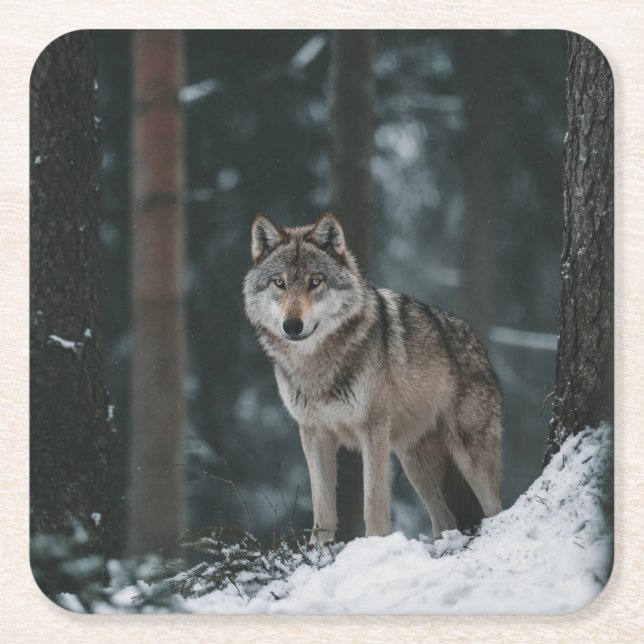 Wolf in Winter Square Paper Coaster (Front)