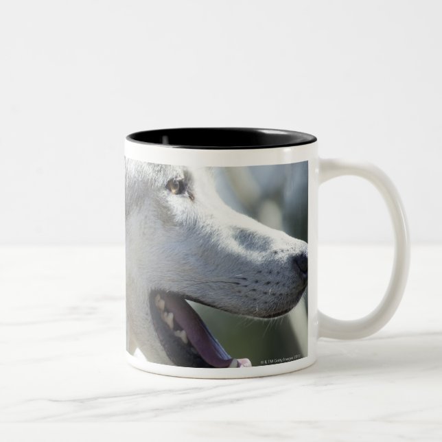 Wolf in Yellowstone 2 Two-Tone Coffee Mug (Right)