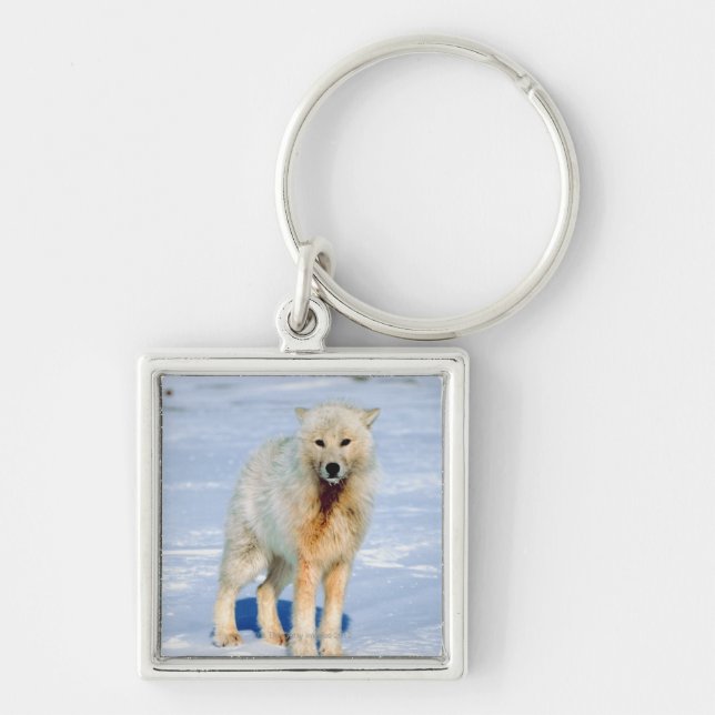 Wolf Key Ring (Front)