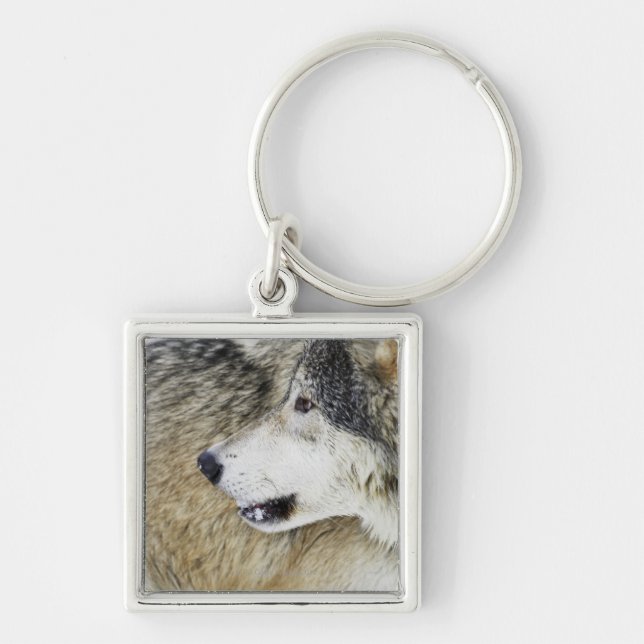 Wolf Key Ring (Front)