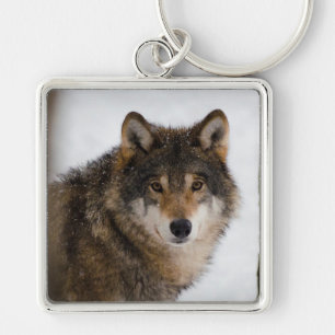 Wolf Key Ring