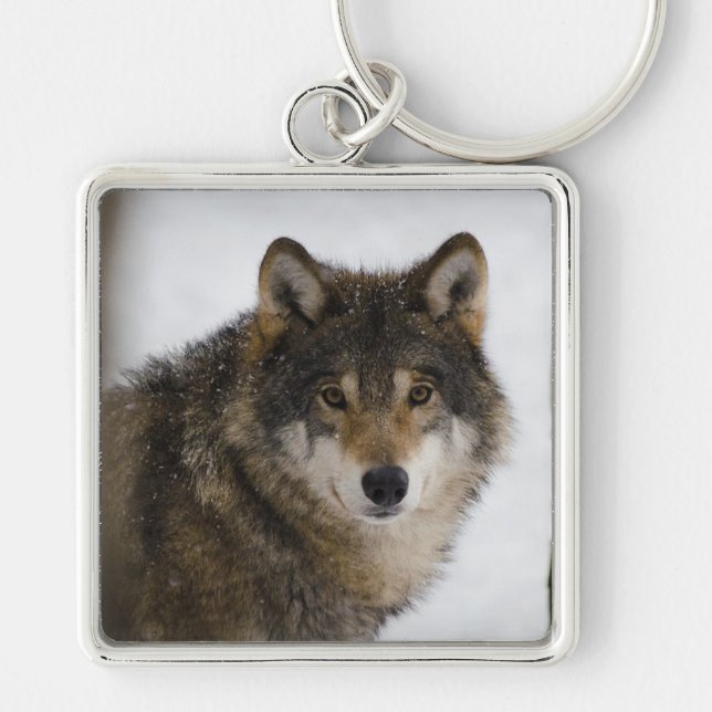Wolf Key Ring (Front)