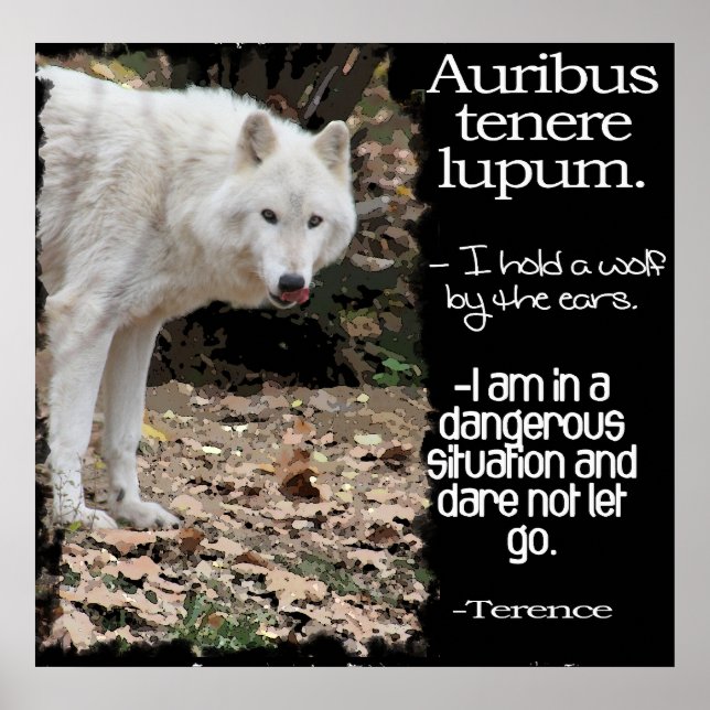 WOLF LATIN QUOTE TERRENCE POSTER (Front)