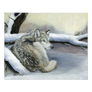 Wolf Laying in the Snow Art Photo Print