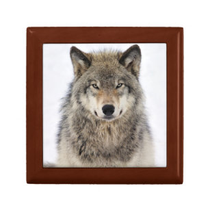 Wolf Love Gift Box