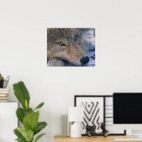 Wolf Lovers Art