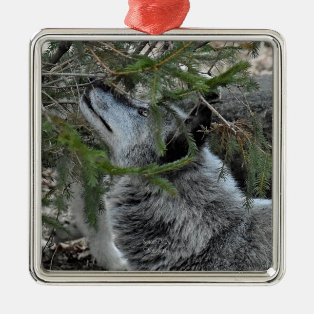 Wolf Metal Ornament (Front)