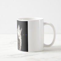 Wolf & Moon