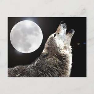 Wolf & Moon Postcard