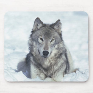 Wolf Mouse Pad