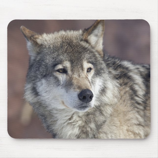 Wolf Mouse Pad (Front)