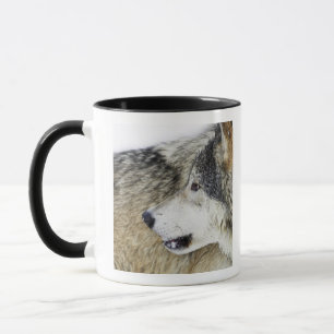 Wolf Mug