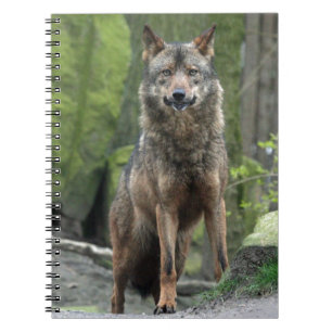 Wolf Notebook