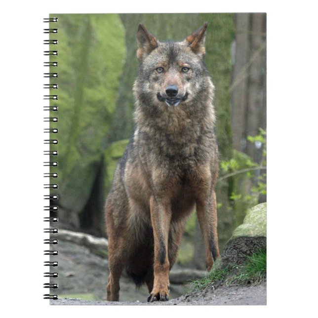 Wolf Notebook (Front)