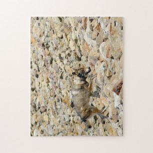 Wolf on the Rocks Jigsaw Puzzle