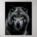 Wolf Orange Eyes Wild Animal Nature Poster<br><div class="desc">Poster prints 8"x10" - you can change size if you want. Instant download, a great way to harmonise with the energy of the Wolf. A mysterious creature, the wolf thrives in folklore and modern environmentalism in many countries throughout the world. This handsome wolf has orange eyes. Your choice of tshirt...</div>