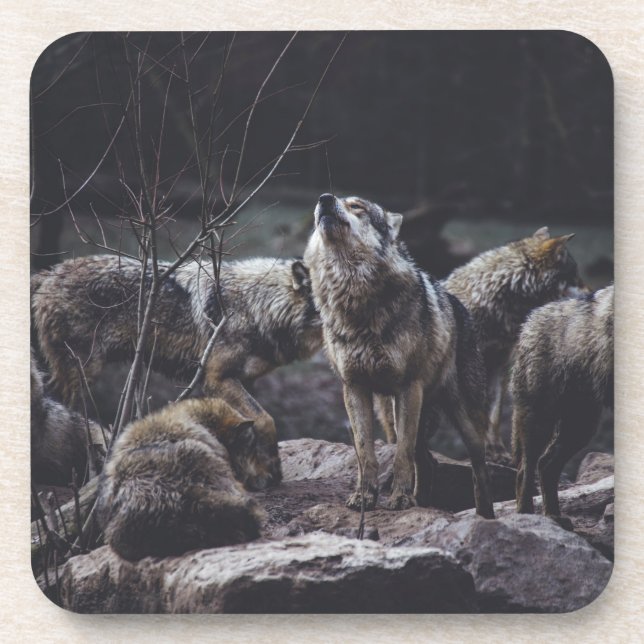 Wolf Pack Beverage Coaster (Front)