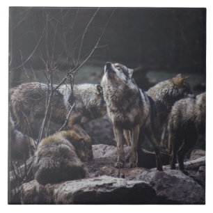 Wolf Pack Ceramic Tile