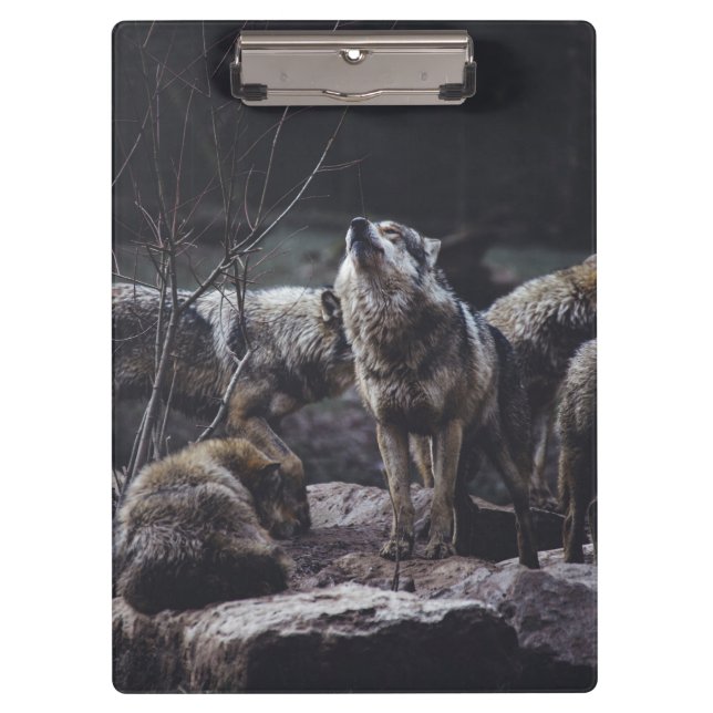Wolf Pack Clipboard (Front)