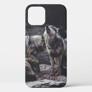 WOLF PACK ON ROCK FORMATION iPhone 12 CASE