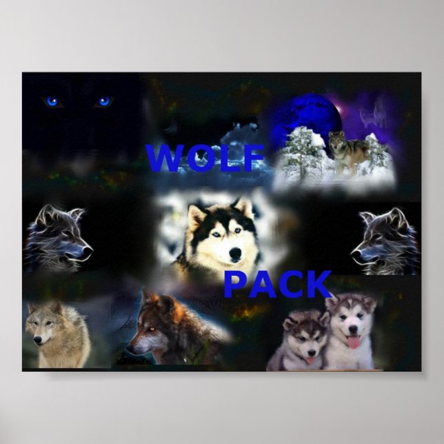 Wolf Pack poster (Front)