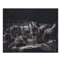 Wolf Pack