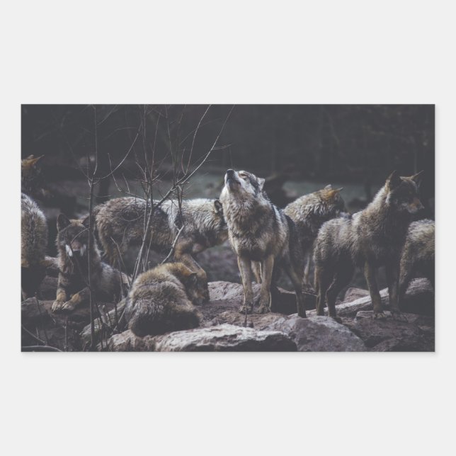 Wolf Pack Rectangular Sticker (Front)