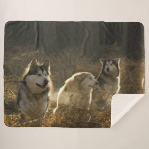 WOLF PACK SHERPA BLANKET