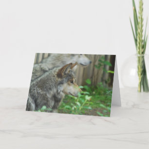 Wolf Pair Greeting Cards