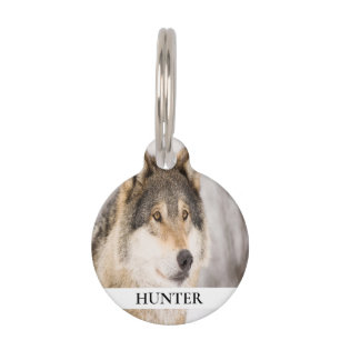 Wolf pet dog photo your animal fun name tag