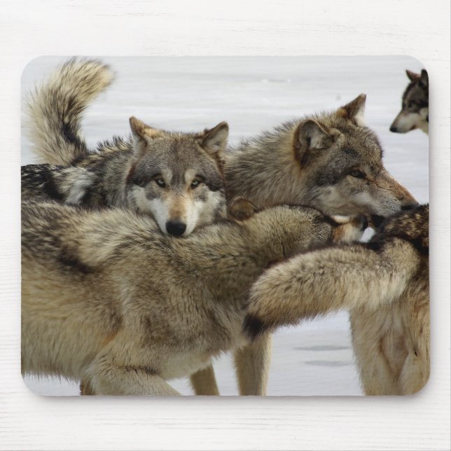 Wolf Pile Mouse Pad (Front)