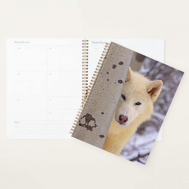 Wolf Planner (Display)