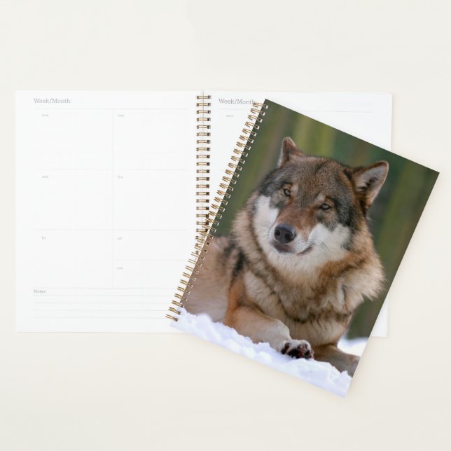 Wolf Planner (Display)