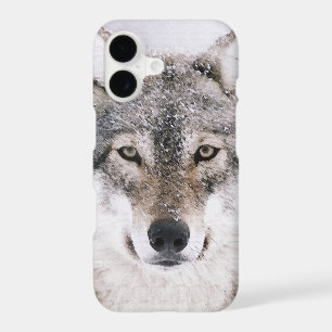 Wolf Portrait