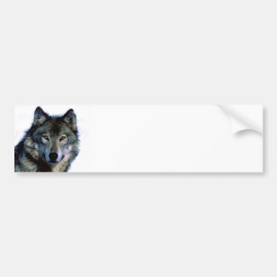 Wolf Portrait Bumper Sticker