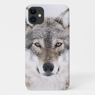 Wolf Portrait iPhone 11 Case