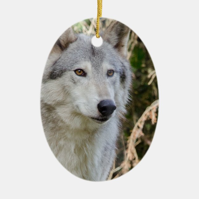 Wolf Portrait Ceramic Ornament (Front)