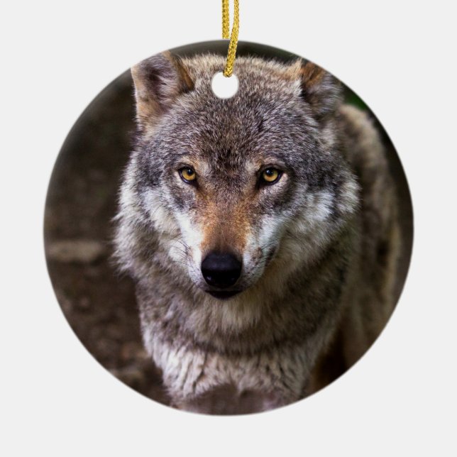 Wolf portrait ceramic ornament (Front)