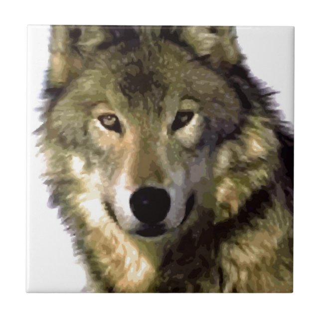 Wolf Portrait Ceramic Tile (Front)