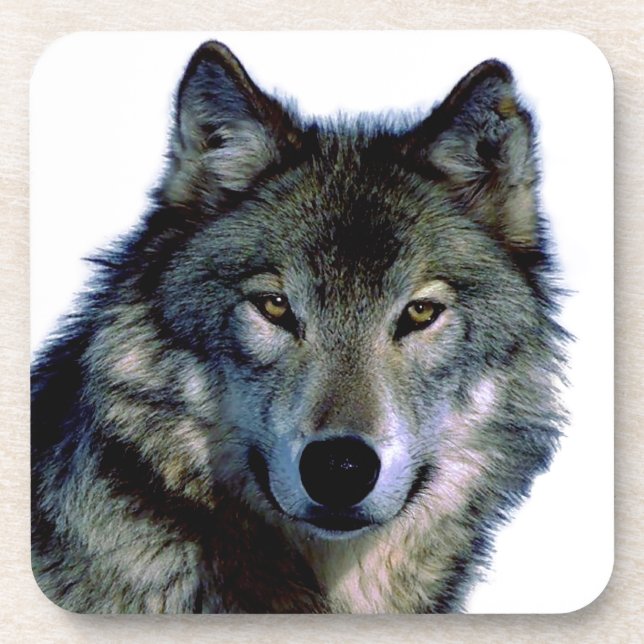 Wolf Portrait Coaster (Front)