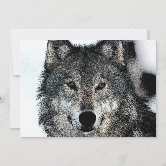 Wolf Portrait Invitation (Front)