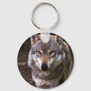 Wolf portrait key ring