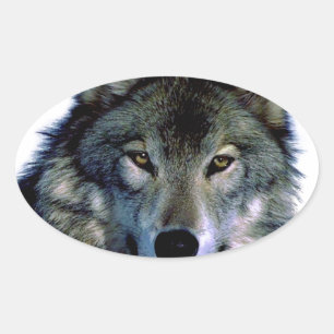 Wolf Portrait Oval Sticker