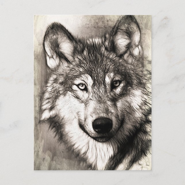Wolf portrait postcard (Front)