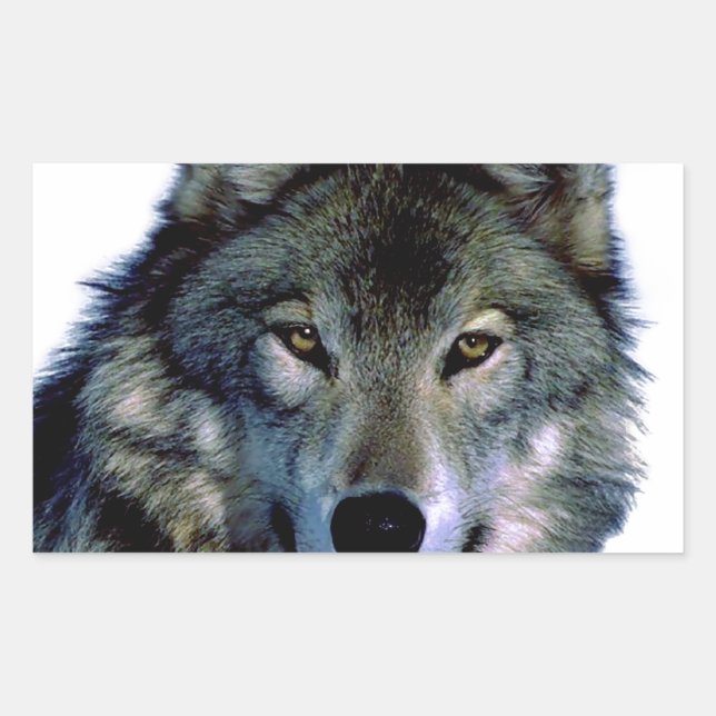 Wolf Portrait Rectangular Sticker (Front)