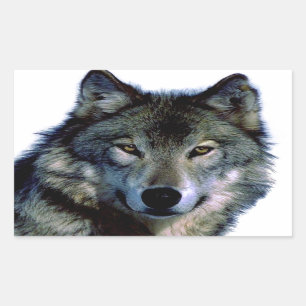 Wolf Portrait Rectangular Sticker