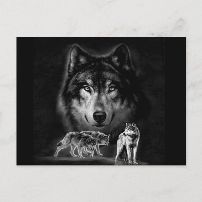 wolf postcard (Front)