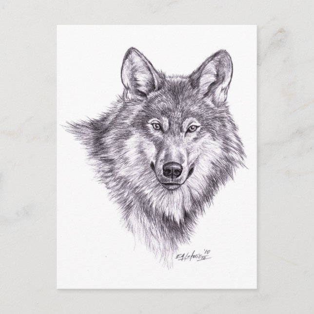 wolf postcard (Front)