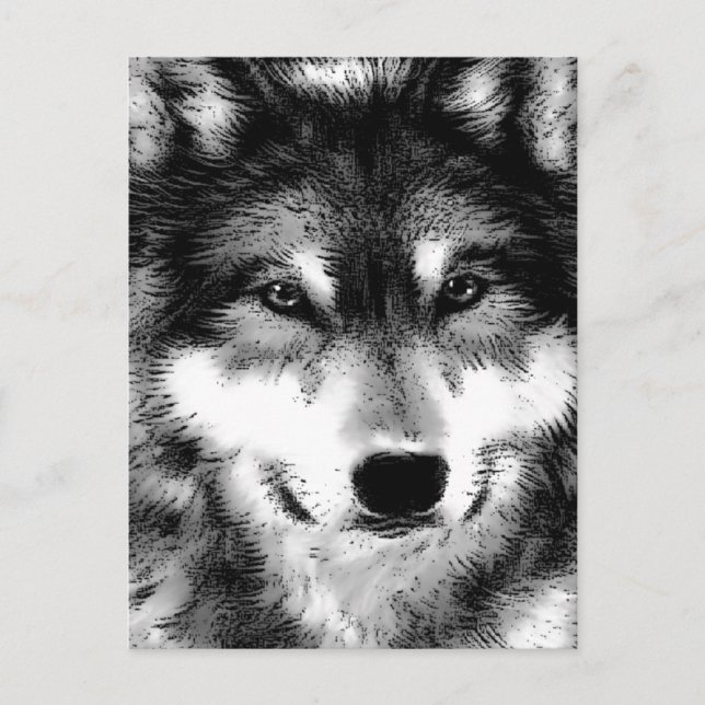 Wolf Postcard (Front)